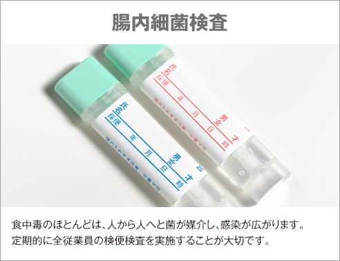 腸内細菌検査